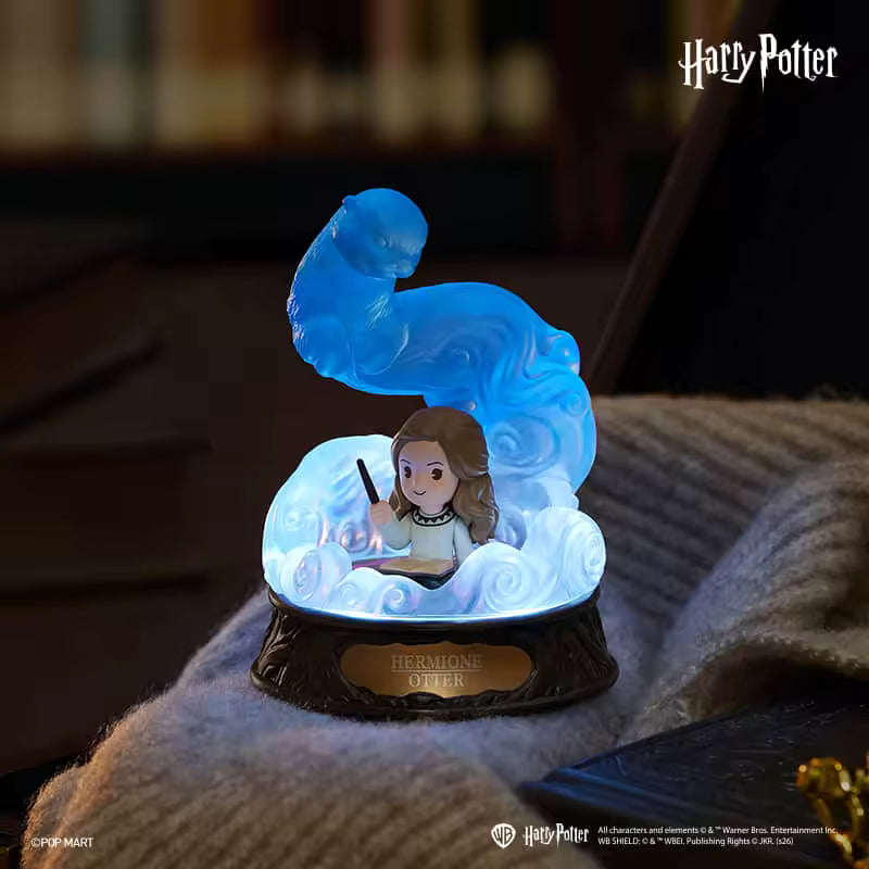 Harry Potter Sürpriz Kutu