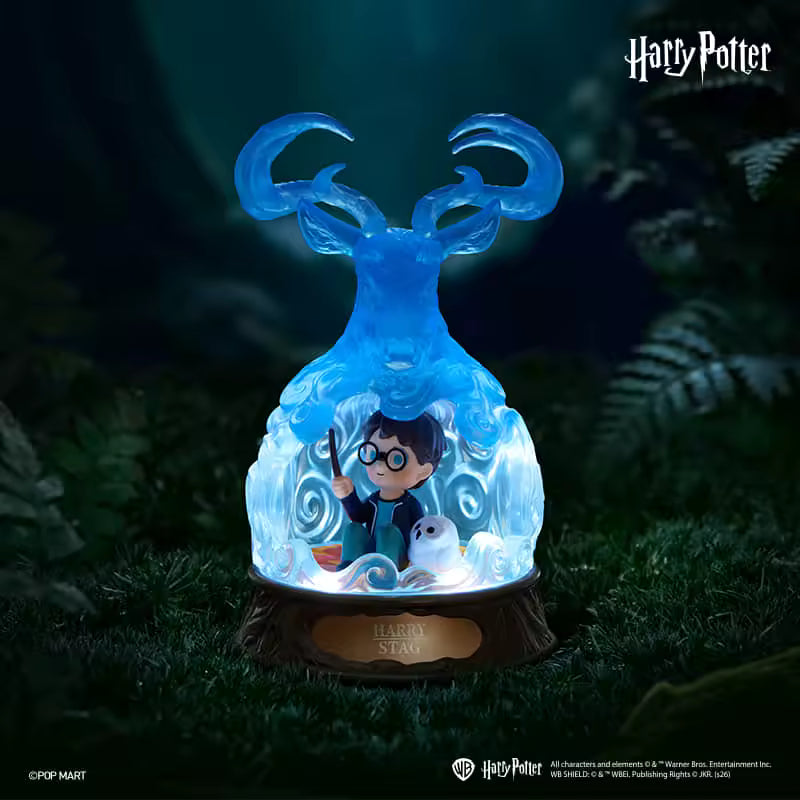 Harry Potter Sürpriz Kutu